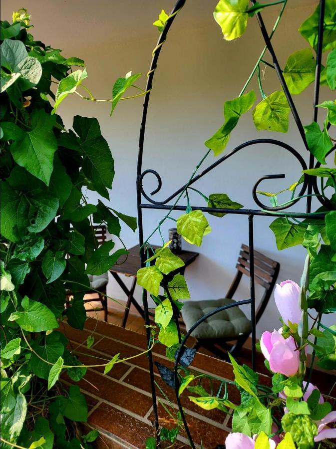 Seeoase In Muhr Am See Inkl Fruehstueck Exterior foto